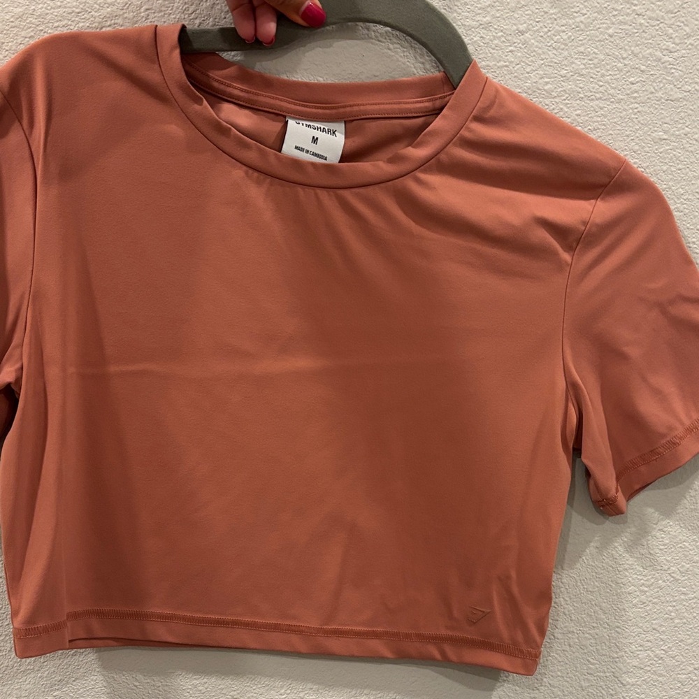 Gymshark Terracotta Crop Top